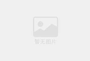 塑料瓶链板输送机